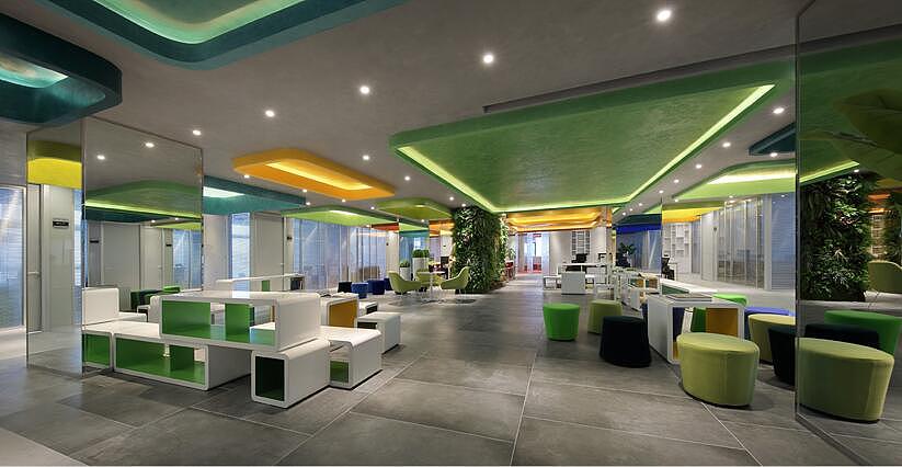 辦公室旺財?shù)牧N風(fēng)水植物